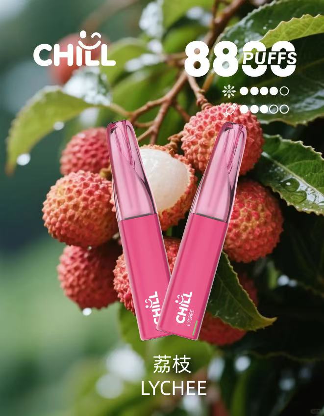 【續航怪獸-全新上市】CHILL 拋棄式 8888口